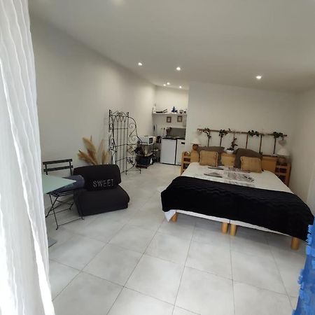 Studio Independant Dans Villa, Parking Gratuit. Castelnau-le-Lez Eksteriør billede
